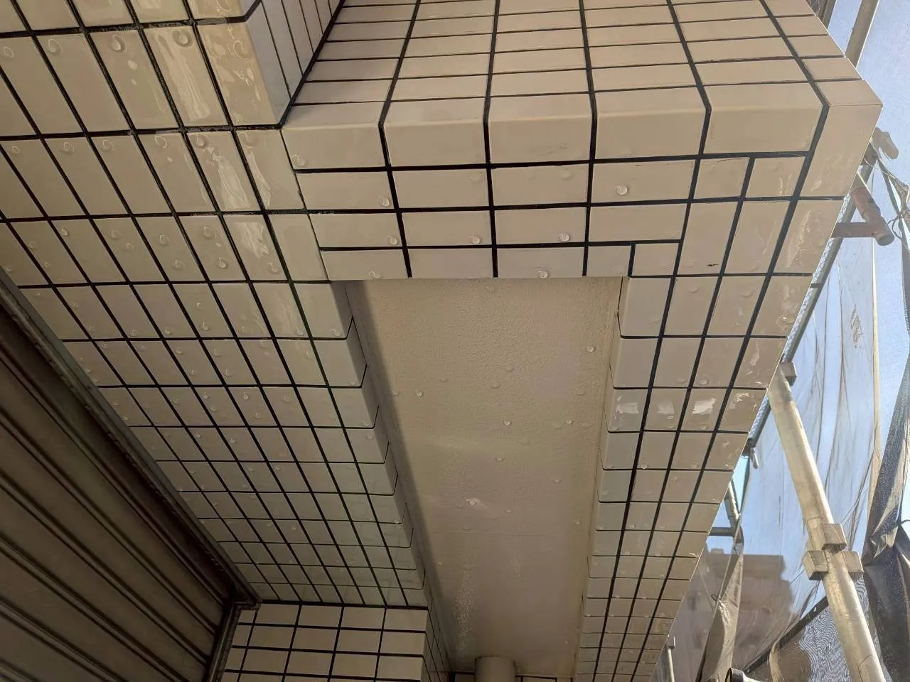 タイル薬品洗浄作業